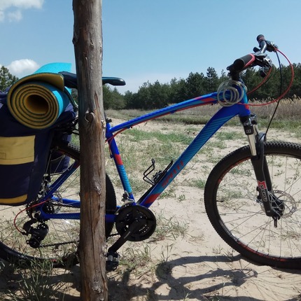 Show bike spelli sx