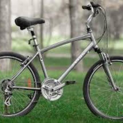 Show bike 131