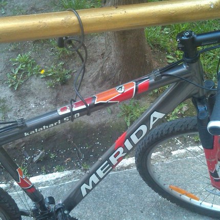 Show bike 85