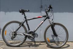 Index bike 29