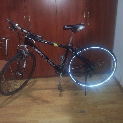 Show bike fox