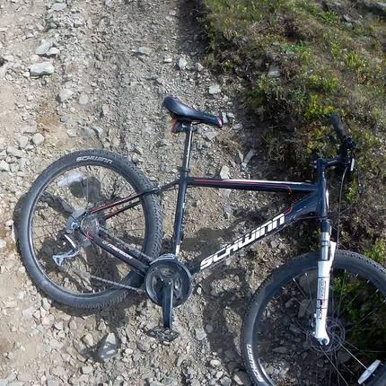 Show bike 21200633 272657869917499 4523432080945809410 o