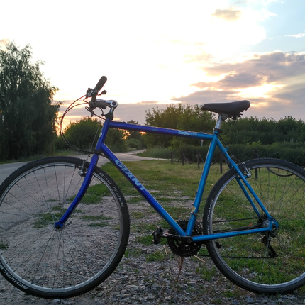 Show bike screenshot 2019 07 13 12 06 56 149 com.miui.gallery