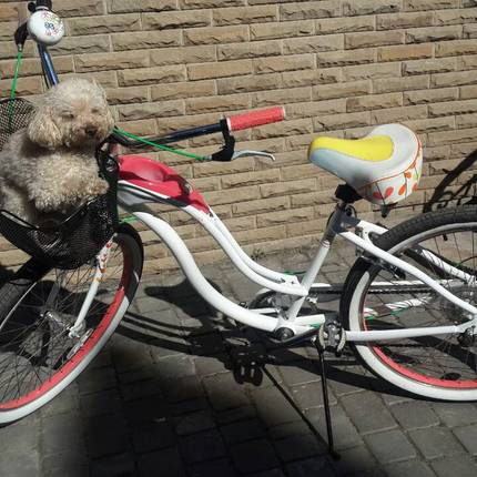 Show bike viber image