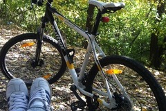 Index bike 4