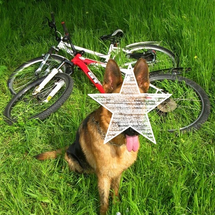 Show bike w a11bnxqwe