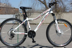 Index bike 64