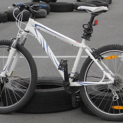 Show bike 37