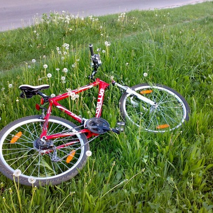 Show bike 72483572 10216295875529364 1206043120412655616 o 