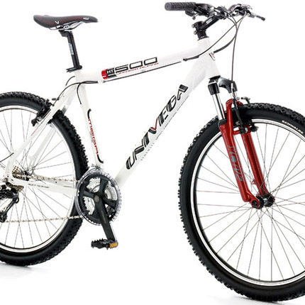 Show bike 41