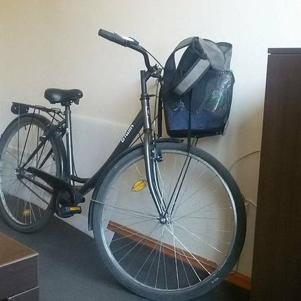 Show bike 22095292 10208832636447268 1158685665 o