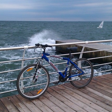 Show bike 6gmmxh3ldgq