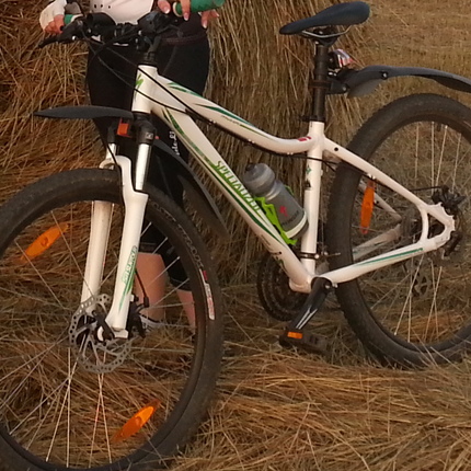 Show bike 2