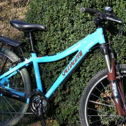 Show bike 118