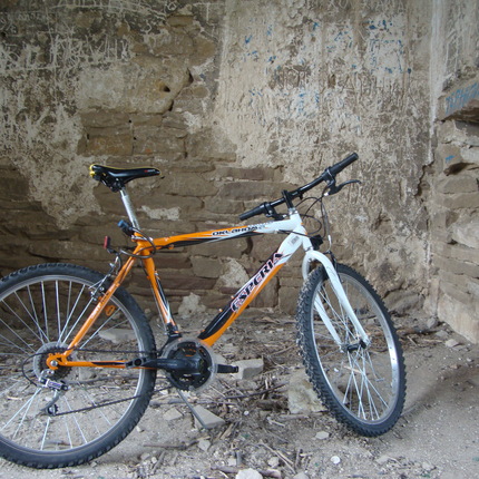 Show bike 46