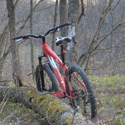 Show bike dsc 0539