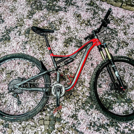 Show bike 21122319 1424505750990552 5809839709279632299 o