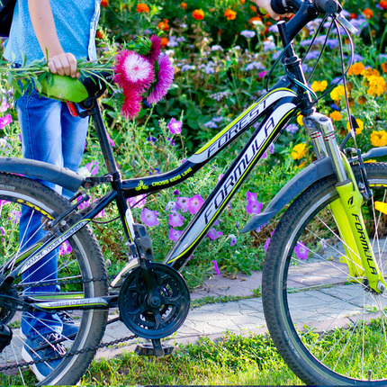 Show bike                   2