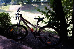 Index bike 3