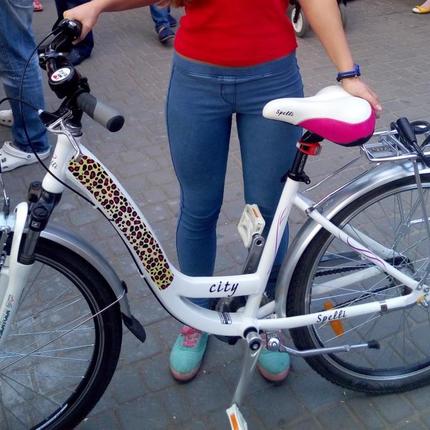 Show bike 50.26