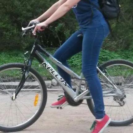 Show bike 33245605 1560663904062390 406392859269267456 n