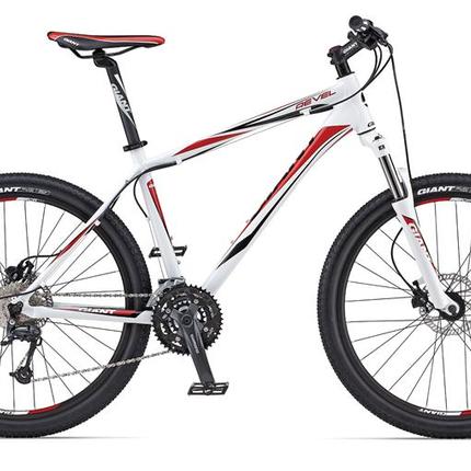 Show bike 84