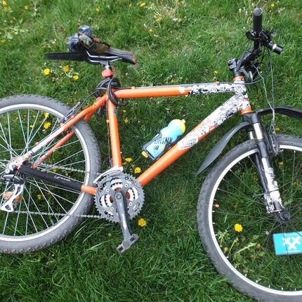 Show bike 13958019 1031136753666835 7950973300181699718 o