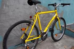 Index bike 107