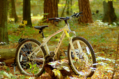 Index bike 22