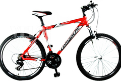 Index bike 65