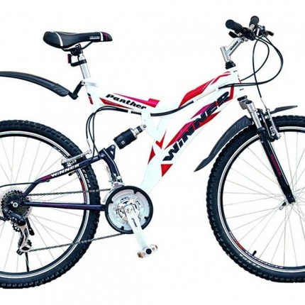 Show bike winner panther      