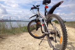 Index bike           1