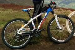 Index bike 100