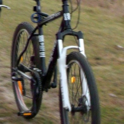 Show bike 50
