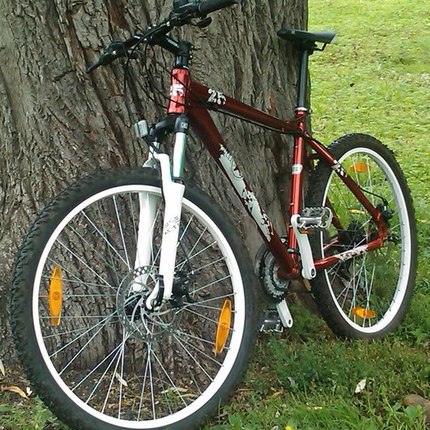 Show bike 36