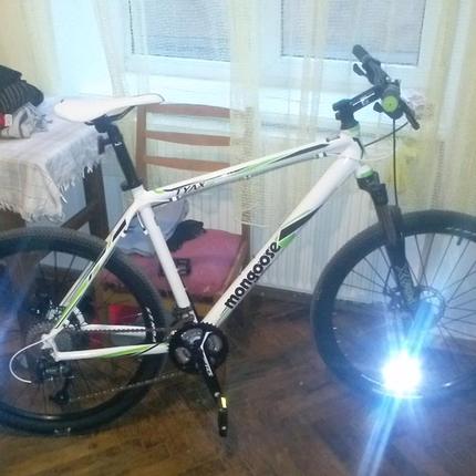 Show bike 1001445 558782147505495 1221928803 n