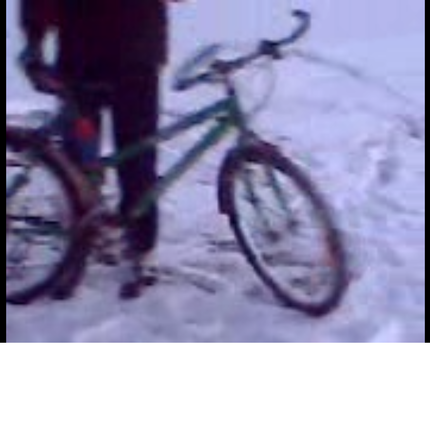 Show bike       