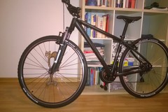 Index bike 23