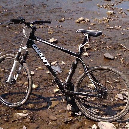 Show bike       