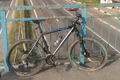 Index bike 31