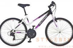 Index bike 21