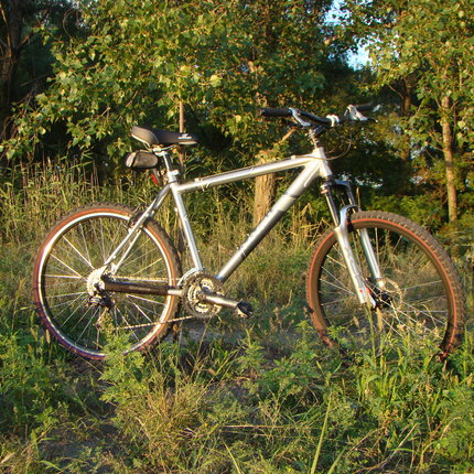 Show bike 16
