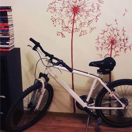Show bike 40199362 2386737641340568 8838038570468900864 n